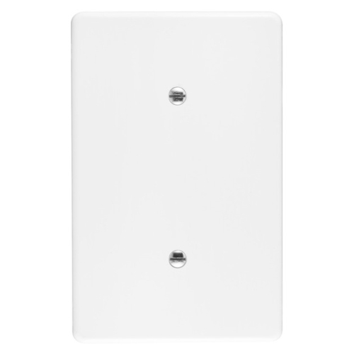 2X4 CRABTREE BLANK COVER