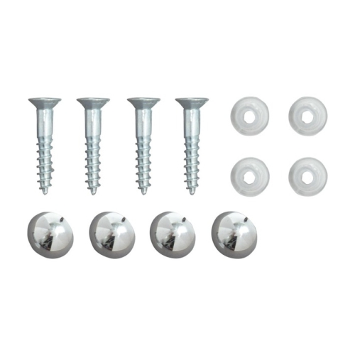 MIRROR SCREW 25mm (PACK QTY: 4)