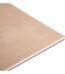 3.6X1.2 RHINO CEILING 6MM